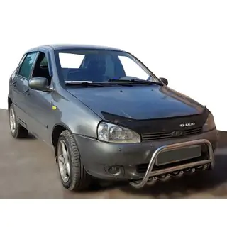Karjapuskuri WT003 (60 mm, rst) Lada Kalina 2004–2011 kuva 1