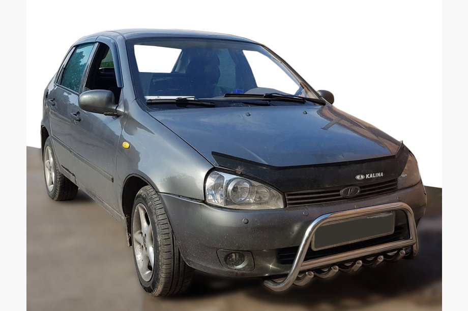 Lada Kalina 2004–2011 Karjapuskuri WT003 (60 mm, rst) Image