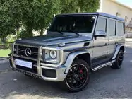 Mercedes G class W463 1990–2018 Etusuojakaari / karjapuskuri (AMG) kuva 1