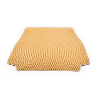 Tavaratilan matto (EVA, beige) BMW X5 E53 1999–2006 kuva 1