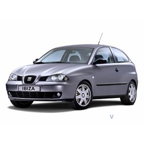 Tuning Seat Ibiza 2002-2009
