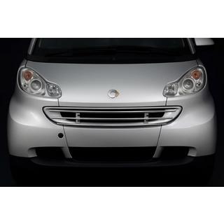 Etusäleikön suoja Smart 2007–2014 kuva 1