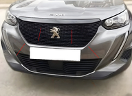 Peugeot 2008 2019– Säleikön kehyslista (3 kpl, ruostumaton teräs) kuva 1