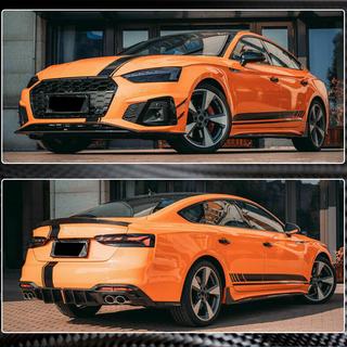 Helmalevikkeet 2021-2025 V1 (Sportback, hiilikuitu) kuva 3