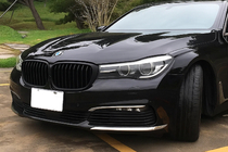 BMW 7-sarja G11/G12 2015–2022 Munuaissäleikkö 1 Bar (2016-2019, mattamusta) kuva 1