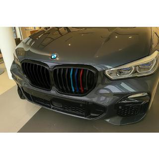 Munuaismaski 1-säleinen (2019-2022, M-Color) BMW X5 G05 2019–2026 kuva 1