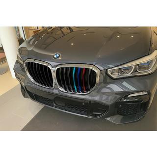 Munuaissäleikkö 1 Bar (2019-2022, M-Color kromikehyksellä) BMW X5 G05 2019–2026 kuva 1