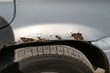 Kuinka vaarallisia ovat korin 'ruostepilkut'? kuva 1