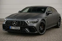 Mercedes AMG GT 4 X290 2018– GT Panamericana etusäleikkö (2018-2022) kuva 1