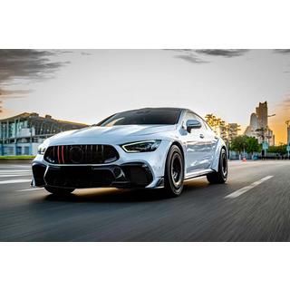 Etusäleikkö GT Panamericana GT-R (2018-2022) Mercedes AMG GT 4 X290 2018– kuva 3