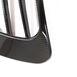 Sumuvalojen peiteosat V1 (2020+, Dry Carbon) kuva 4