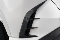Lexus RX 2022– Takapuskurin suojalista (hiilikuitu) kuva 2