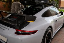 Porsche 911 (991) 2011–2019 Spoileri V4 (Hiilikuitu) kuva 2