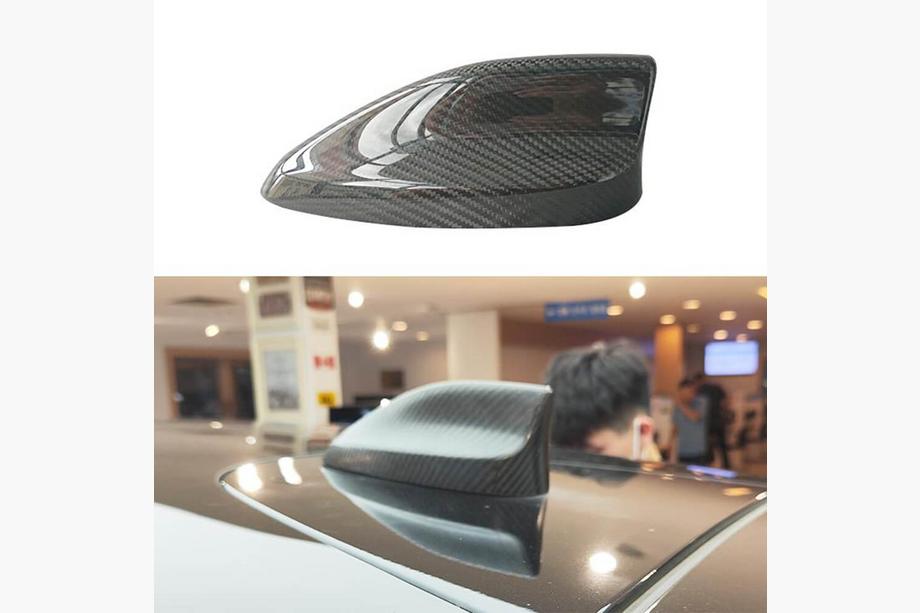 Ford Mustang E-mach 2020– Kattoevä (Carbon) Image