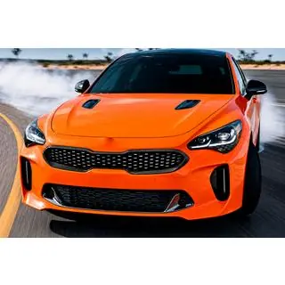 Jäähdyttimen säleikön kehys (hiilikuitu) Kia Stinger 2017–2023 kuva 3