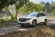 Subaru Forester, 6. sukupolvi: crossoverin koeajo kuva 2