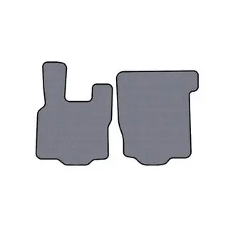 Kumimatot Carsuit (Harmaa) DAF XF105 2005–2013 kuva 1