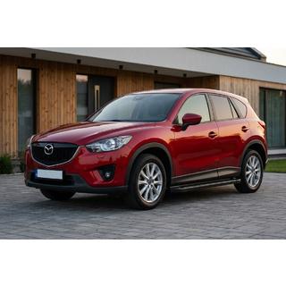 Allmond Black sivuportaat (2 kpl, alumiini) kuva 1