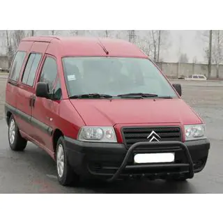Karjapuskuri WT003 Black (RST) kuva 4