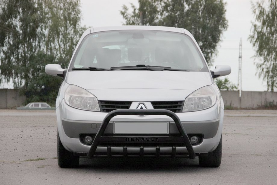 Renault Scenic/Grand 2003–2009 Karjapuskuri WT004 Black (ruostumaton teräs) Image