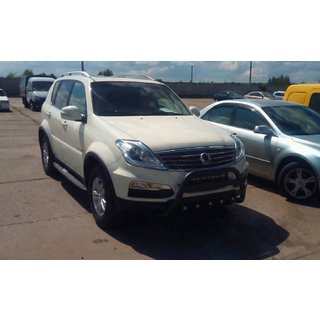 Karjapuskuri WT004 Black (ruostumaton teräs) SsangYong Rexton I 2001–2017 kuva 3