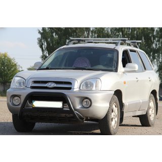 Karjapuskuri WT004 Black (ruostumaton teräs) kuva 1