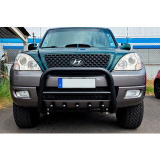 Karjapuskuri WT003 Black (RST) Hyundai Terracan 2001–2007 kuva 1
