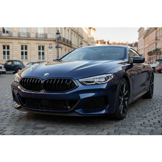 Munuaissäleiköt 1-Bar (2018-2022, kiiltävä musta) BMW 8-sarja G14/G15/G16 2018– kuva 1