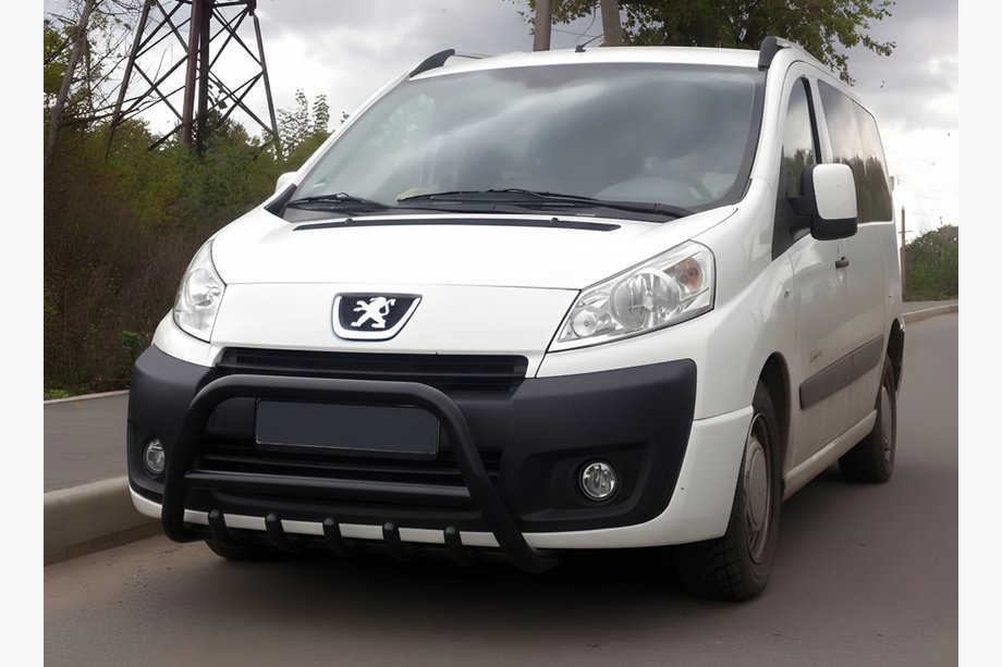 Peugeot Expert 2007–2016 Karjapuskuri WT003 Black (RST) Image