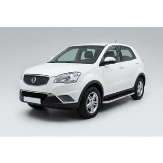 Sivuportaat Tayga Grey (2 kpl, alumiini) kuva 1