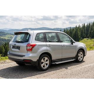 RedLine V1 sivuportaat (2 kpl, alumiini) kuva 1
