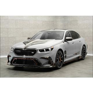 MNSR Carbon korisarja (M5, taottu hiilikuitu) kuva 2