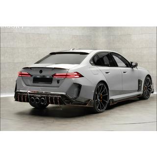 MNSR Carbon korisarja (M5, taottu hiilikuitu) kuva 3