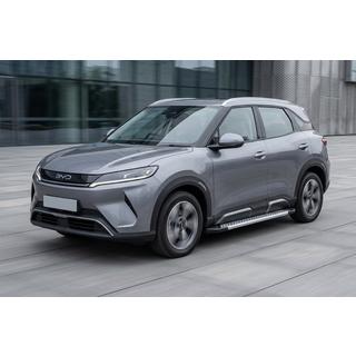 Sivuaskelmat Vision New Grey (2 kpl, alumiini) kuva 1