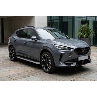 Sivuportaat Tayga Grey (2 kpl, alumiini) kuva 1