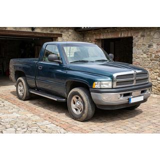 Duru sivuportaat (2 kpl, alumiini) Dodge RAM (BR/BE) 1994–2002 kuva 1