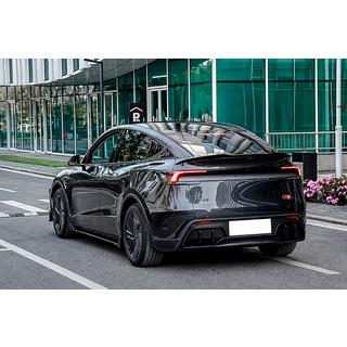 Korisarja Black Warrior (2025+) Tesla Model Y 2020– kuva 4
