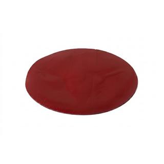 Takaembleemi ilman lasia V5 (17 cm × 12,5 cm) kuva 2