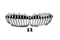 BMW 7-sarja G11/G12 2015–2022 Munuaissäleikkö 1 Bar (2019-2022, Chrome) kuva 2