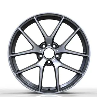 Taotut vanteet DH-Style V20 R21