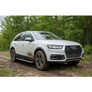 Sivuportaat Tayga Grey (2 kpl, alumiini) kuva 1