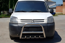 Citroen Berlingo 1996–2008 Karjapuskuri WT003 (ruostumaton teräs) kuva 1