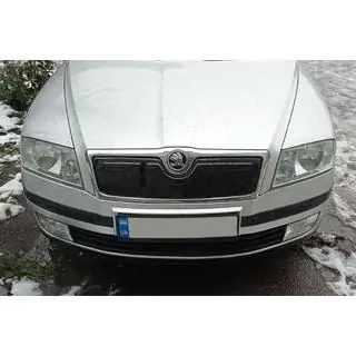 Talvisuoja jäähdyttimensäleikköön (yläosa)
