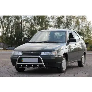 Karjapuskuri WT003 60 mm (ruostumaton teräs) ВАЗ 2110-21115 1995–2015 kuva 2