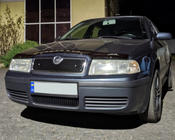 Skoda Octavia I Tour A4 1996–2010 Talvisuoja (yläosa) kuva 3