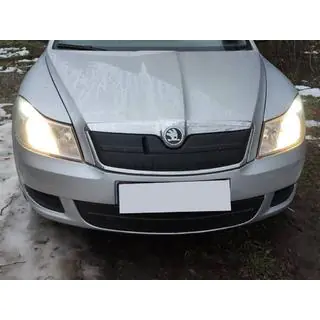 Talvisuoja jäähdyttimensäleikköön (yläosa)