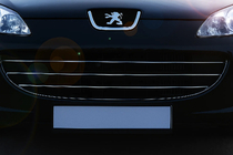 Peugeot 407 2004–2011 Säleikön listat (3 kpl, ruostumaton teräs) Carmos - turkkilainen teräs kuva 1