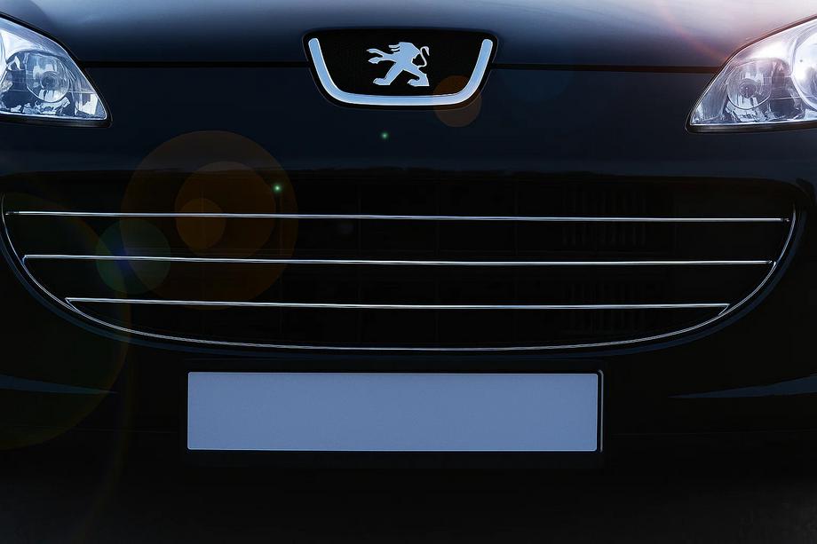 Peugeot 407 2004–2011 Säleikön listat (3 kpl, ruostumaton teräs) Carmos - turkkilainen teräs Image