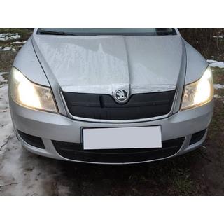 Talvisuoja etusäleikköön (alempi) kuva 2