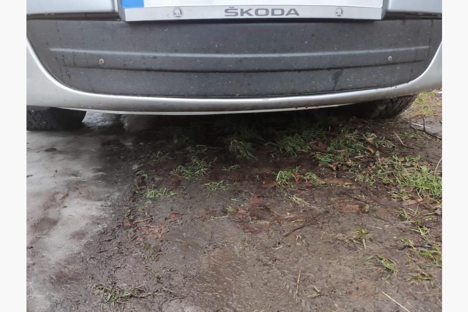 Skoda Octavia II A5 2010–2013 Talvisuoja etusäleikköön (alempi) Image